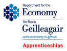 DfE-Irish-apprenticeships-stacked-CMYK-June24